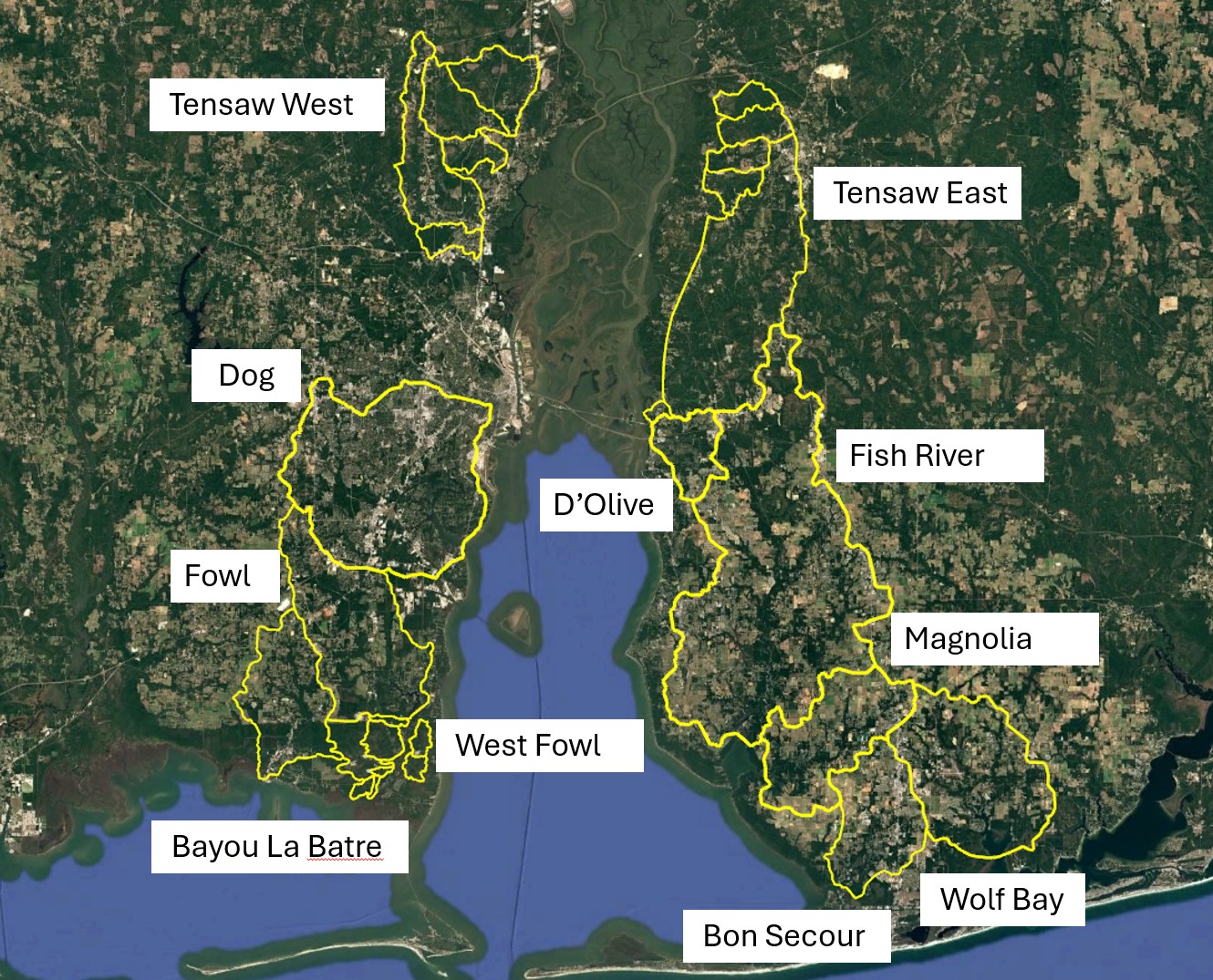 MBNEP models project image