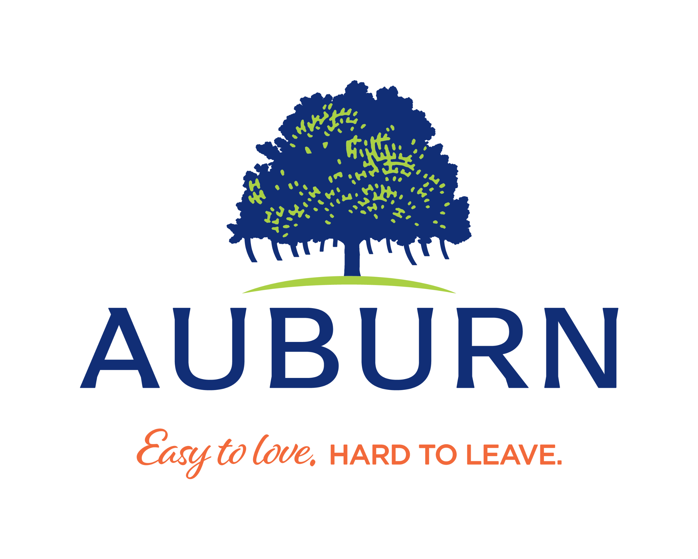 City of Auburn client logo